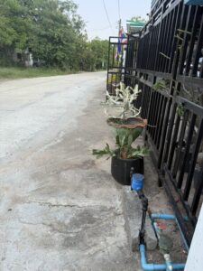 บ้านเช่าสุรินทร์